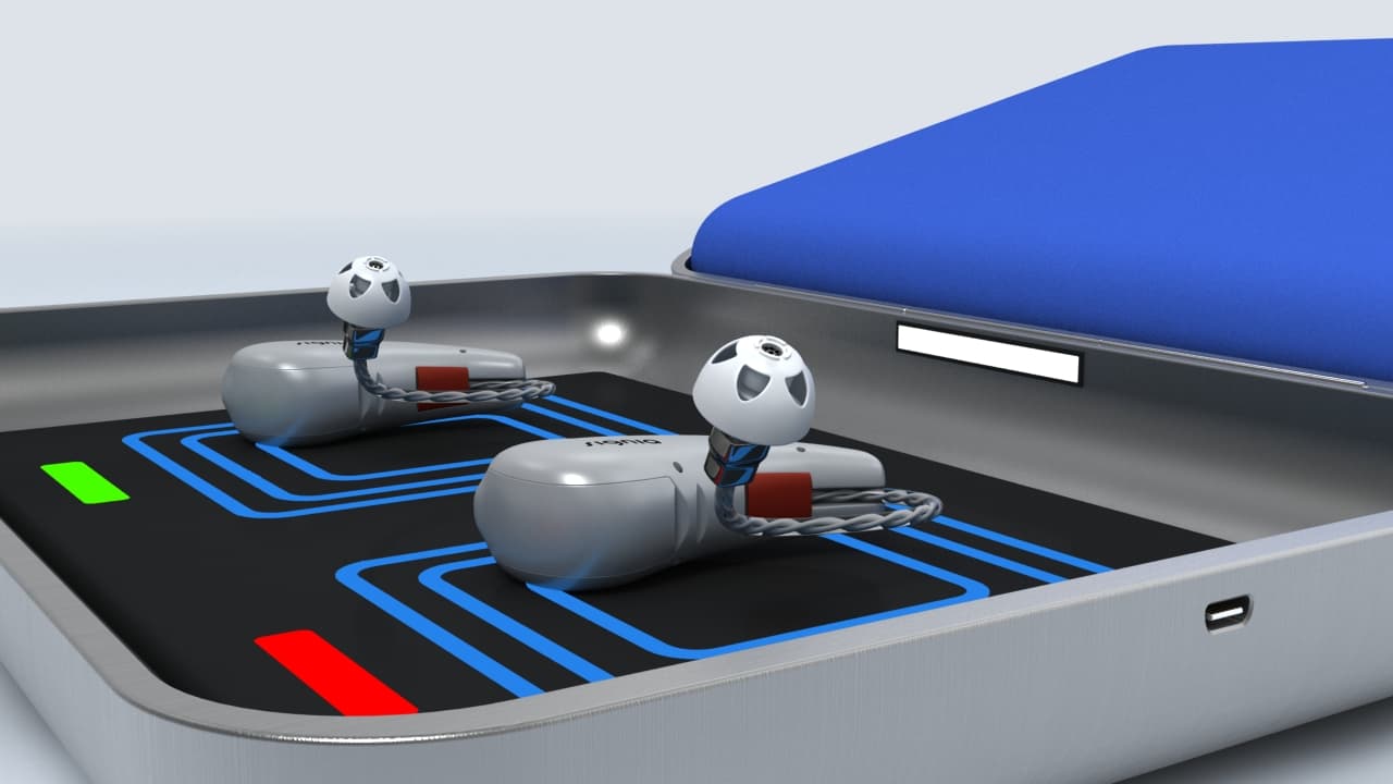 Hearing Aid Charging Case - Image 5