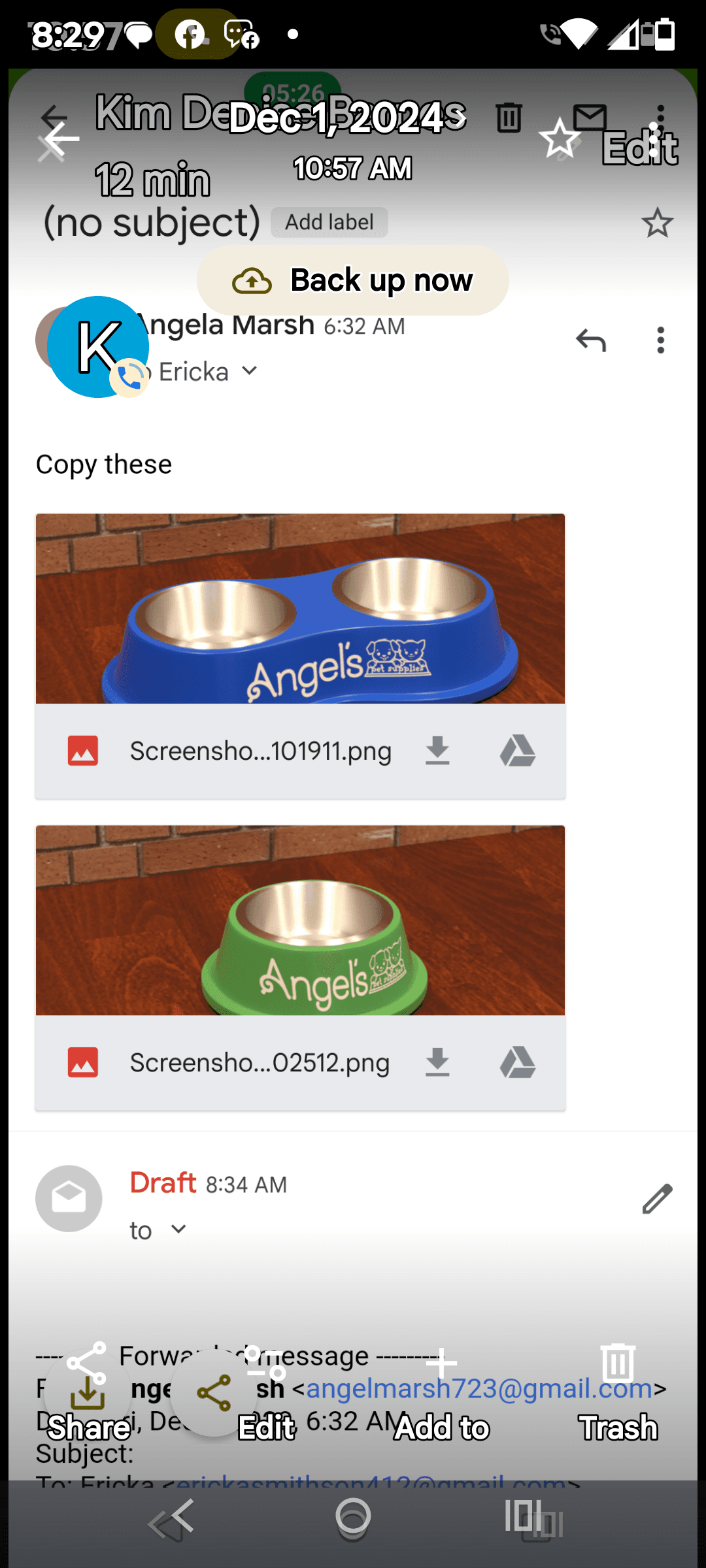 Automated Pet Bowl Apparatus - Image 3
