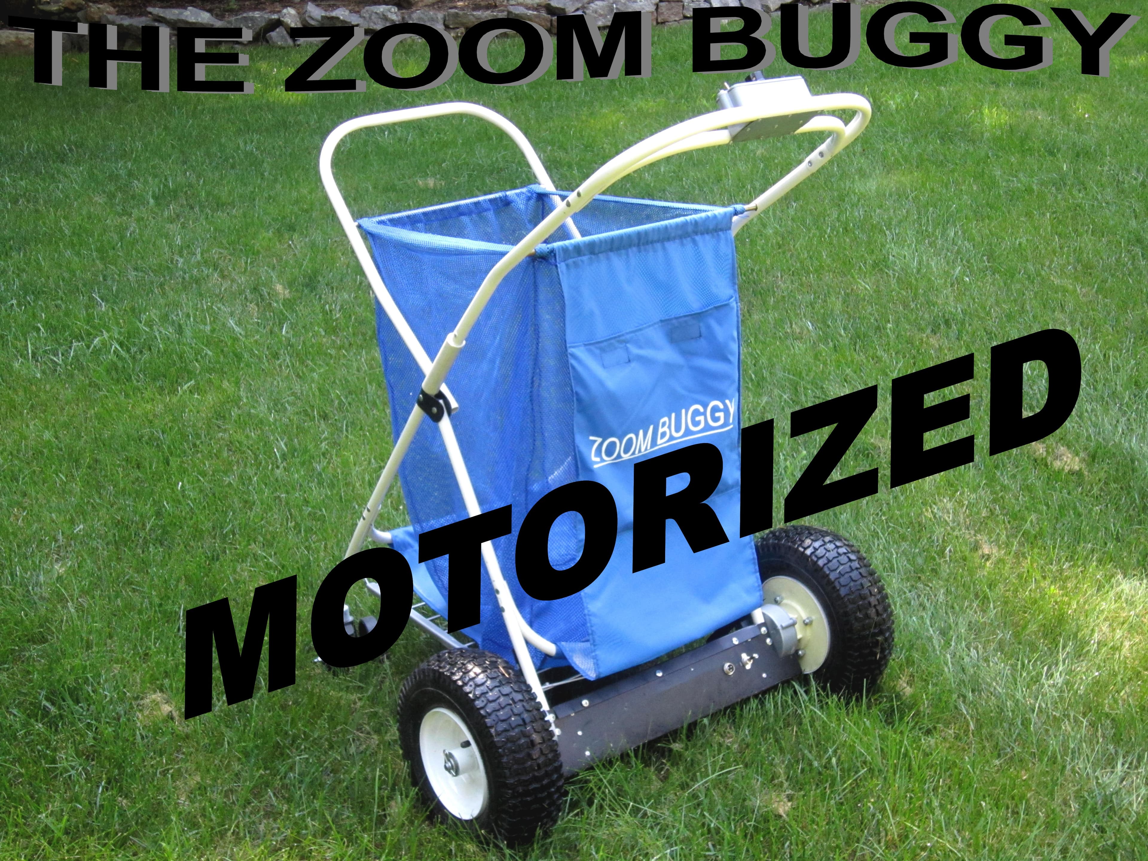 Motorized Beach Cart