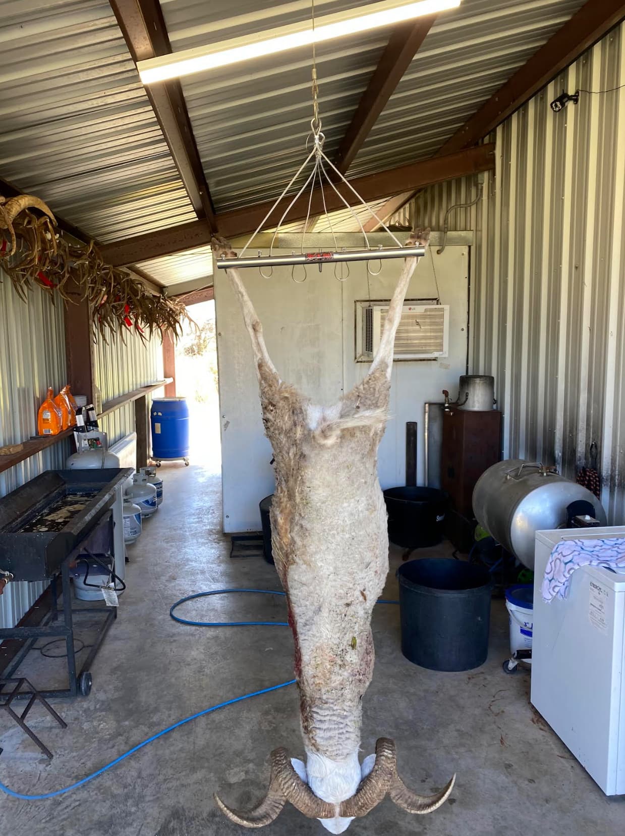 Game Hanging Device - Image 3